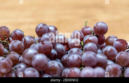 Petits pains de vigne avec fruits de raisin. La vigne, la vigne ou la vigne est une vigne de la famille des vitaceae, cultivée dans toutes les régions tempérées. Le vin est produit à partir de lui Banque D'Images