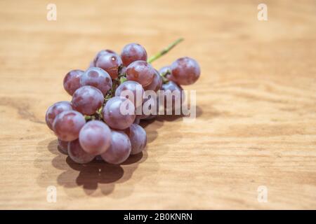 Petits pains de vigne avec fruits de raisin. La vigne, la vigne ou la vigne est une vigne de la famille des vitaceae, cultivée dans toutes les régions tempérées. Le vin est produit à partir de lui Banque D'Images