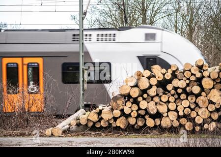 Des arbres abattus après l'ouragan Sabine, février 2020, le long de la ligne ferroviaire entre Duisburg et DŸsseldorf, Banque D'Images