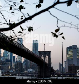 Le pont de Brooklyn et One World Trade sont visibles depuis le Brooklyn Bridge Park. Banque D'Images
