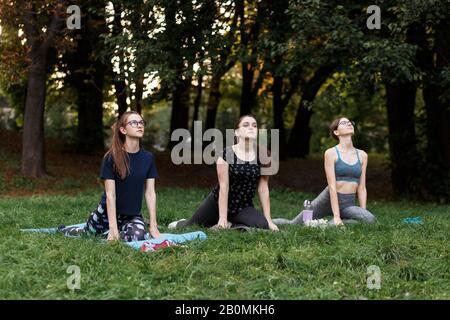 Les filles décontractées font du yoga dans le parc sur la moquette Banque D'Images