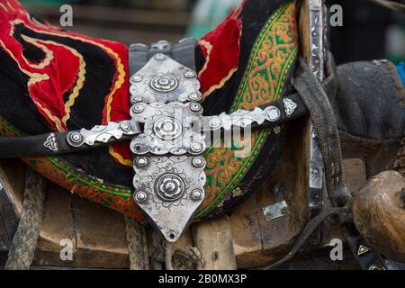 Cheval décoré en selle sur un cheval au parc du Golden Eagle Festival près de la ville d'Ulgii (Ölgii) dans la province de Bayan-Ulgii dans l'ouest de la Mongolie. Banque D'Images