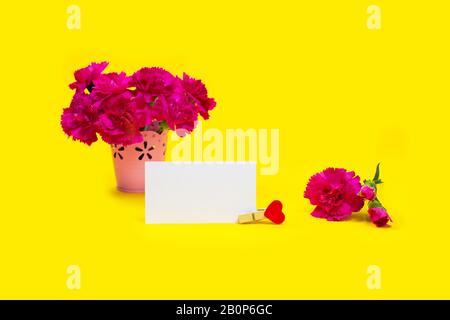 Bouquet de fleurs roses de carnation avec carte sur backgraund jaune. Banque D'Images