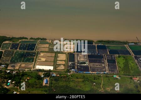 Vue aérienne des étangs de crevettes de l'aquaculture sur la côte de Tawau, Sabah, Bornéo Island, Malaisie Banque D'Images