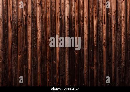 WOM a endommagé la paroi en bois en marron comme fond ou texture Banque D'Images