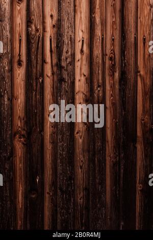WOM a endommagé la paroi en bois en marron comme fond ou texture Banque D'Images