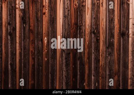 WOM a endommagé la paroi en bois en marron comme fond ou texture Banque D'Images