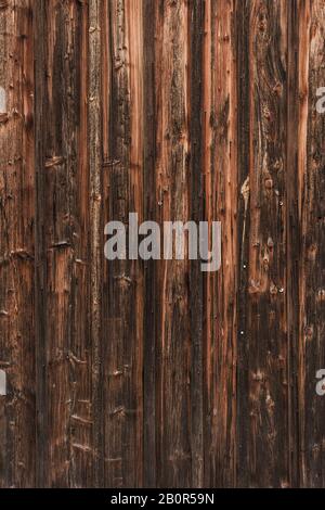 WOM a endommagé la paroi en bois en marron comme fond ou texture Banque D'Images