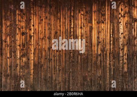 WOM a endommagé la paroi en bois en marron comme fond ou texture Banque D'Images