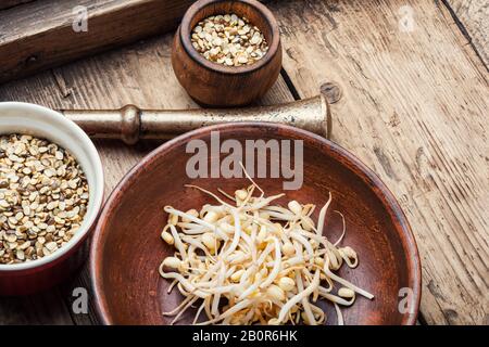 Réglez le grain vert sec et les grains de café ou de café Banque D'Images