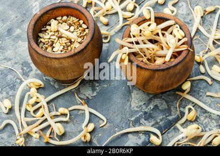 Réglez le grain vert sec et les grains de café ou de café Banque D'Images