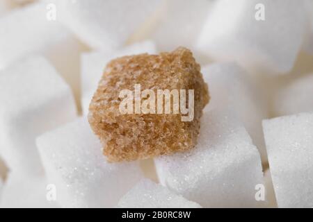 Gros plan macro studio tourné d'une bosse de sucre brun sur des cubes de sucre blanc Banque D'Images