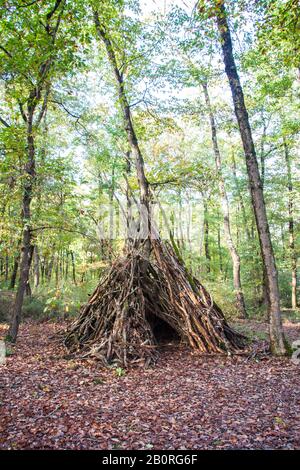 Abri tipi fait de branches dans la forêt verte à l'automne Banque D'Images