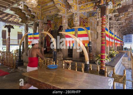 Kandy, Sri Lanka: 03/19/2019: Sanctuaire Bouddhiste Sri Dalada Maligawa. Joueur de flûte musicien en costume traditionnel. Banque D'Images