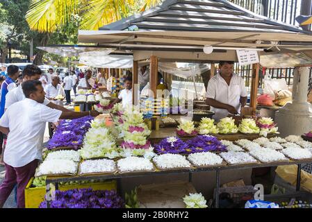 Kandy, Sri Lanka: 03/19/2019: Étalage de fleurs vendant des offres de fleurs pour les visiteurs au sanctuaire de dents bouddhistes. Banque D'Images