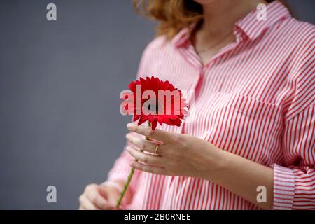 Un portrait de femme à tête rouge dans une chemise rayée rouge et blanche avec des hibiscus rouges dans ses mains sur fond gris Banque D'Images