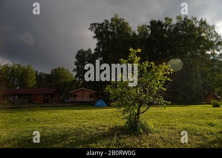 Petit arbre qui pousse sur la prairie verte, les cottages touristiques, les tentes touristiques et la petite forêt sur le fond Banque D'Images