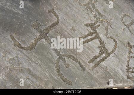 Petroglyph, sculpture de roche, d'un chien schématique et de la figure humaine. Sculpté par l'ancien peuple Camunni à l'âge du cuivre entre 3200-2200 av. J.-C. Rock no 29 Banque D'Images