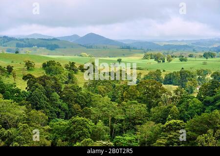 Prairies et forêts tropicales au printemps, Australie, Queensland Banque D'Images