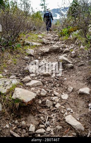 Un homme avec sac à dos va sur le chemin pierreux de montagne entre les plantes hautes avec la montagne sur le backgroung Banque D'Images