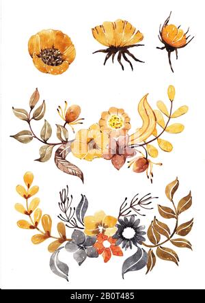 Ensemble de fleurs et de feuilles dessin et peinture par couleur d'eau Banque D'Images