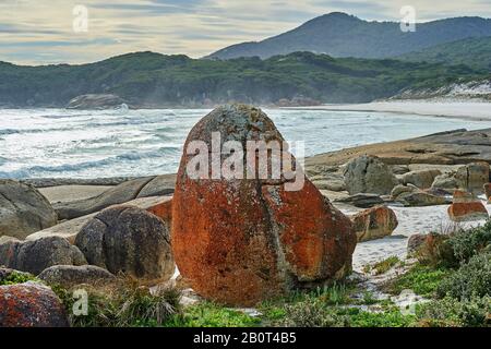 De grandes rochers se trouvant sur la plage de Squeaky à sommer, en Australie, à Victoria, dans le parc national de Wilsons Promontory Banque D'Images