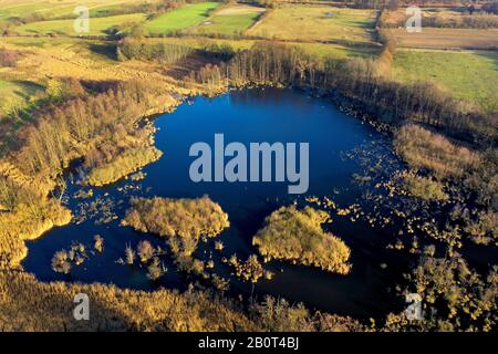 Moor étang de Panten, réserve naturelle Pantener Moorweiher, vue aérienne, Allemagne, Schleswig-Holstein Banque D'Images