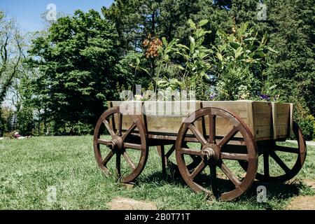 Ancien panier à roues avec des fleurs dans les parcs Banque D'Images