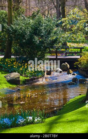 Fleurs fleuries dans le parc Keukenhof aux Pays-Bas, en Europe Banque D'Images