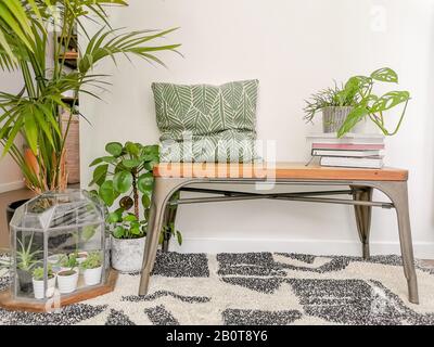 Petit couloir d'entrée au design scandinave avec beaucoup de lumière naturelle et de nombreuses plantes vertes. Banque D'Images