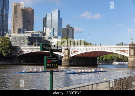 Centre-ville de Melbourne, rameurs sur la rivière yarra à côté de Princes Bridge, Melbourne, Australie Banque D'Images