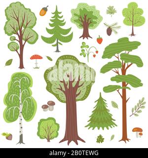 Arbres forestiers, plantes et champignons, autres éléments vectoriels floraux boisés. Arbre floral, illustration des champignons et des arbres en bois Illustration de Vecteur