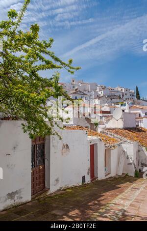 Rue dans la municipalité de Comares dans la province de Malaga, andalousie Banque D'Images