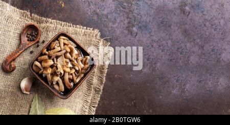 Champignons de la forêt pickled miel agarics dans un bol en céramique et épices sur la serviette de toile de saumure sur la vieille plaque de cuisson en métal rouillé. Bannière large. Aliments fermentés. Susta Banque D'Images