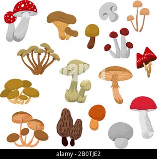 Ensemble vectoriel de caricature de champignons frais d'automne et de tabourets. Collection de champignons bio, illustration de légumes boletus Illustration de Vecteur