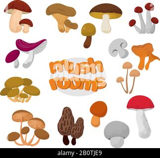 Forêt été et automne Caricature champignons comestibles jeu vectoriel. Collection d'illustrations de champignons alimentaires Illustration de Vecteur