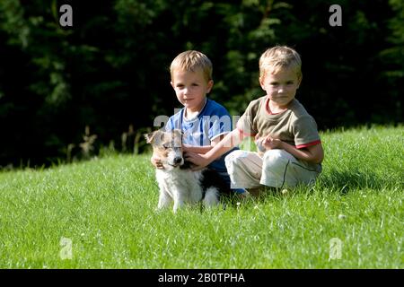 Les Garçons Et Le Fox Terrier À Poil Dur Banque D'Images