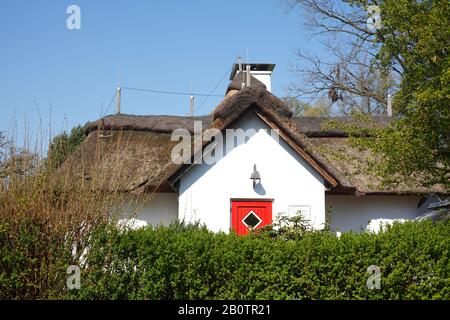 Bâtiment résidentiel moderne en chaume, maison familiale simple, Fischerhude, Basse-Saxe, Allemagne, Europe Banque D'Images