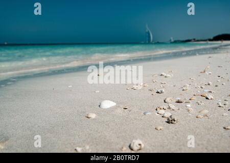 vue sur les coquillages sur la plage près de la mer, idée et concept de vacances sur la plage Banque D'Images