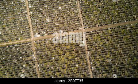 Pierres tombales et cimetière. Vue aérienne verticale sur des rangées de tombes dans un cimetière bondé du nord de Londres. Banque D'Images