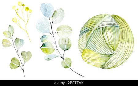 Kit de tricotage avec plantes. Fils d'aquarelle avec éléments botaniques. Eucalyptus, baies jaunes, feuillage vert, boulettes de laine, panier en osier. Illustration Banque D'Images