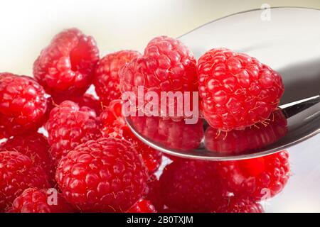 framboises fraîches juteuses sur une pile dans un bol en verre avec une cuillère brillante prise une par une sur un fond blanc avec beaucoup d'espace vide Banque D'Images