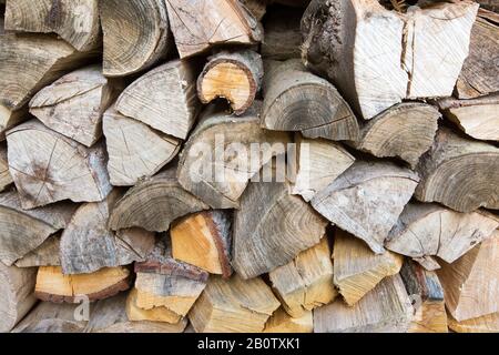 L'image montre le séchage du bois avant d'être mis sur un feu. Les propriétaires de brûleurs à bois, de poêles et de feux ouverts ne pourront plus acheter du charbon ou du bois humide pour les brûler, en vertu d'une interdiction de déploiement à partir de l'année prochaine. Les ventes des deux combustibles les plus polluants seront éliminées progressivement en Angleterre pour contribuer à réduire la pollution de l'air, dit le gouvernement. Les sacs de grumes vendus dans les magasins de bricolage, les centres de jardinage et les stations-service contiennent souvent du bois humide - un type de bois qui produit plus de pollution et de fumée. Le public devrait passer à des "alternatives plus propres", dit le gouvernement. Banque D'Images