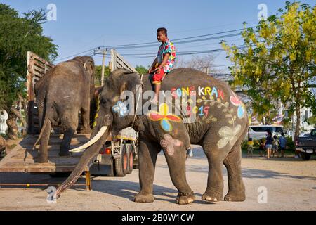 Éléphants peints pour les vacances de Songkran, qui est le nouvel an en Thaïlande. Banque D'Images