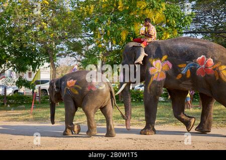 Éléphants peints pour les vacances de Songkran, qui est le nouvel an en Thaïlande. Banque D'Images