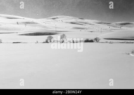 Vue depuis la fenêtre du train en hiver. Paysage d'hiver. Photo en noir et blanc. Banque D'Images