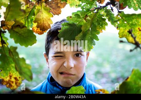 Tête et épaules portrait d'un garçon regardant la caméra à travers les feuilles de chêne, tirant un visage. Banque D'Images