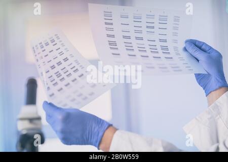 La séquence d'ADN analizing scientifique dans le laboratoire moderne Banque D'Images