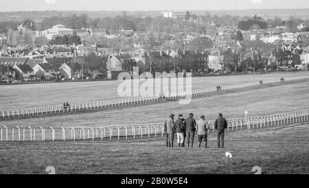 Newmarket Town en Angleterre est la capitale mondiale de l'élevage et de l'entraînement de chevaux de course, datant de 350 ans. La formation peut être vue 6 jours par semaine. Banque D'Images