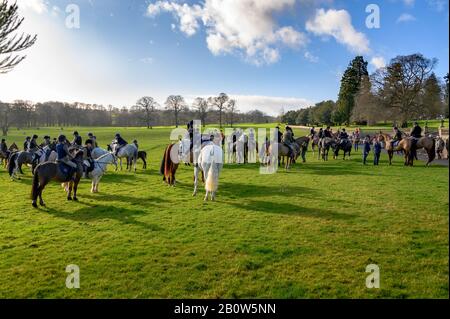 Aske Hall, Richmond, North Yorkshire, Royaume-Uni - 08 février 2020: Chasseurs de renards d'équitation attendant que la chasse commence dans un cadre rural anglais Banque D'Images